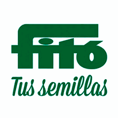 Logo Demo